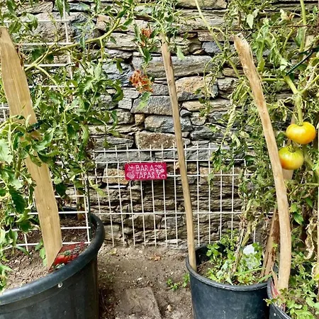 Maison Familiale Charmante *