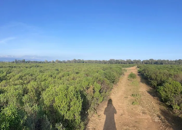 Maison Familiale Charmante Villa